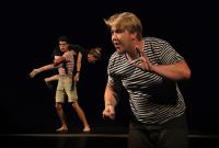 Ostrava, Janáčkova konzervatoř, Tři v parku a pes, CP Jiráskův Hronov 2013