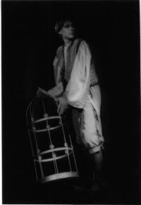 Ústí nad Labem, Mladá scéna, Pták Ohnivák a liška Ryška, 1995