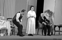 Horšovský Týn, MKZ, Leona si pospíšila, 2010