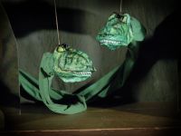 Hradec Králové, Poli, Pustý les, LCH 2005