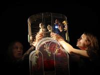 Roztoky, Tichý Jelen, Richard 3, LCH 2009