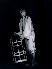 Ústí nad Labem, Mladá scéna, Pták Ohnivák a liška Ryška, FEMAD 1995