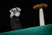 Hradec Králové, ZUŠ Na Střezině, DOJAJA, O dědečkovi, se kterým byla legrace, KP Audimafor Hradec Králové 2011