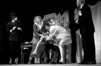 Horšovský Týn, DS Městského kulturního zařízení, Kaviár nebo čočka, 1995