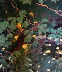 Plánice, Sokol, fragmenty opony, 192x