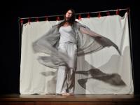 JH 2009, Vyškov, Trdla, Kuře čtvrtka