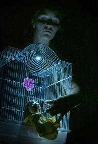 Jaroměř, Popcorn, Dcerky, LCH 2025