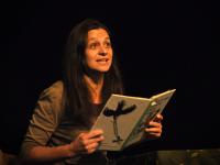 Liberec, Kordula, Papírové pohádky, 2011