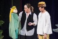 Sadská, Klicpera, O Honzovi a víle Verunce, KP Klicperovy divadelní dny Sadská 2015