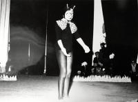 Želetava, Školní soubor, Ferda Mravenec, 1965
