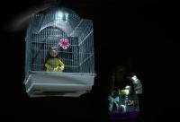 Jaroměř, Popcorn, Dcerky, LCH 2025