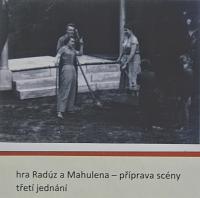 Lysá nad Labem, výstava DIVADLO JE PODIVUHODNÁ VĚC..., výstavní panel, 2018