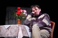 Česká Kamenice, Kamdivadlo, Meier Müllerová Schulz, Děčínská brána 2018