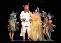 Divadlo ve Slavkově u Brna a jeho 150. výročí, a Sen noci svatojánské, 2017