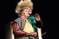 Přerov, Dostavník, Maškaráda, CP Divadelní piknik Volyně 2013