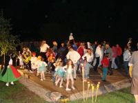 Chelčice, Chelčické štěstí, Večer svatého Patrika, 2008