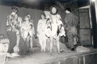 Chomutov, Čapek, Ukradený mlýn