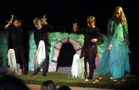 Strakonice, LS Radost, O dobré duši, 2011