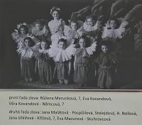 Lysá nad Labem, výstava DIVADLO JE PODIVUHODNÁ VĚC..., výstavní panel, 2018