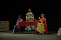 Brzkov, Divadelní kroužek, O Popelce, Divadelní Přibyslav 2014