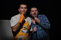 Slovensko, Tlmače, Divadlo Hľadanie, Chvála bláznovstva alebo Elling a Kjell Bjarne, CP Jiráskův Hronov 2011