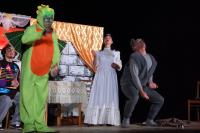 Ostrov, Ochotníci, Co žere Fňuf, KP Radnický dráček, 2025