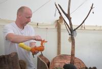 Praha, Divadlo b, Pohádka lesní, CP LCH 2021