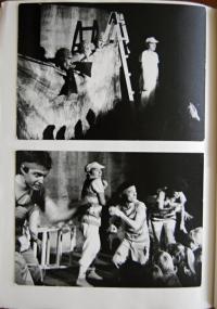 Třebíč, Mladá scéna, Malý tygr, Česká Lípa, Českolipský divadelní podzim, 1988