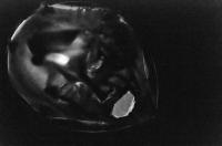 Náchod, J.S.T.E. Artyžok a D.R.E.D., Ikonanta na motivy Sofokla, CP Šrámkův Písek 2013