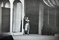 Brno, Svatoboj, Pes na seně, 1954