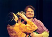 Přerov, Dostavník, Robin Hood, KP Kojetín 2002