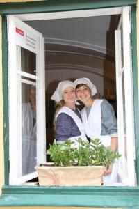 Třebíč, Ampulka, Bauerovi, 2012