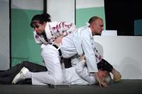 Napajedla, Zd. Štěpánka, Uděláte mně to znova?, KP Hánácký divadelní máj Němčice nad Hanou 2013