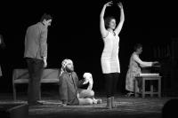 Černišice, Samé vody, Loudavé (o)bludy, 2009