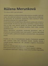 Lysá nad Labem, výstava DIVADLO JE PODIVUHODNÁ VĚC..., herečka Růžena Merunková, výstavní panel, 2018