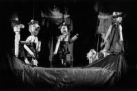 Jaroměř, K jako konzervatoř, Srdce víc než noha, LCH 2008