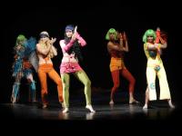 Děčín, Městské divadlo, Malá mořská víla, Děčín 2009