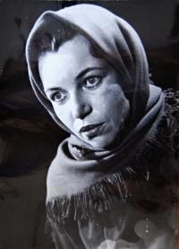 Třebíč, ZGK Borovina, Vassa Železnovová