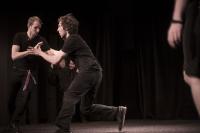 Plzeň, Klenba, foto z představení