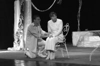 Pardubice, (a)Maťák, Skleněný zvěřinec, 2006