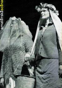 Amatérská scéna, zadní strana obálky, 2010/3