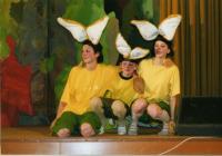 Jedovnice, Vlastimil, Loupežnické koření, 2006