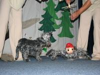 Louny, Spolek loutkářů, Pavouk Brabouk