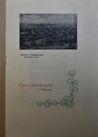 Nový Bydžov, Jirásek, Programy, pozvánky