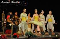 Chrudim, ZUŠ, Princezna se zlatou hvězdou na čele, 2010