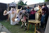 Olešnice, o. Semily, Jirásek,  Kravská opera