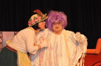 Hustopeče, Foor, Podivné příhody pana Pimpipána, 2011