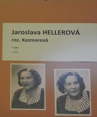 Lysá nad Labem, výstava DIVADLO JE PODIVUHODNÁ VĚC..., výstavní panel, 2018