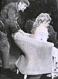 41. JH, Plzeň, Spojené divadelní soubory, Racek, 1971