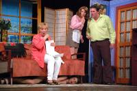 Libice, Vojan, Nevěsta k pohledání, LDL 2017